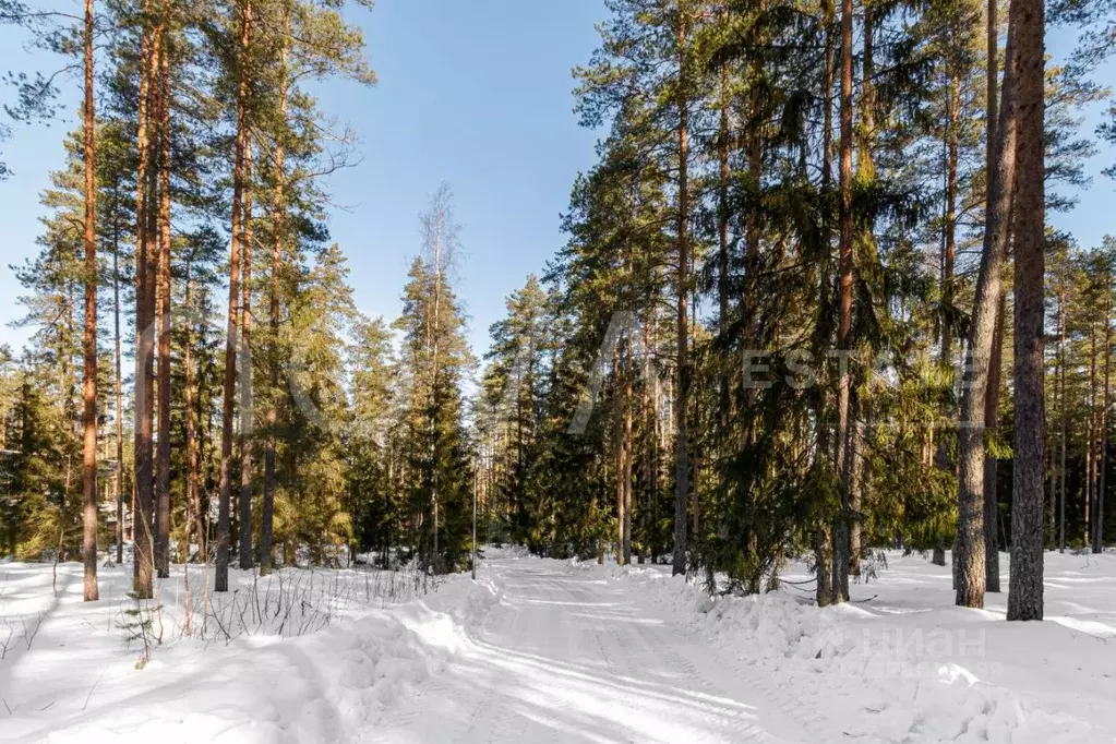 Участок в Ленинградская область, Выборгский район, Первомайское с/пос, ... - Фото 0