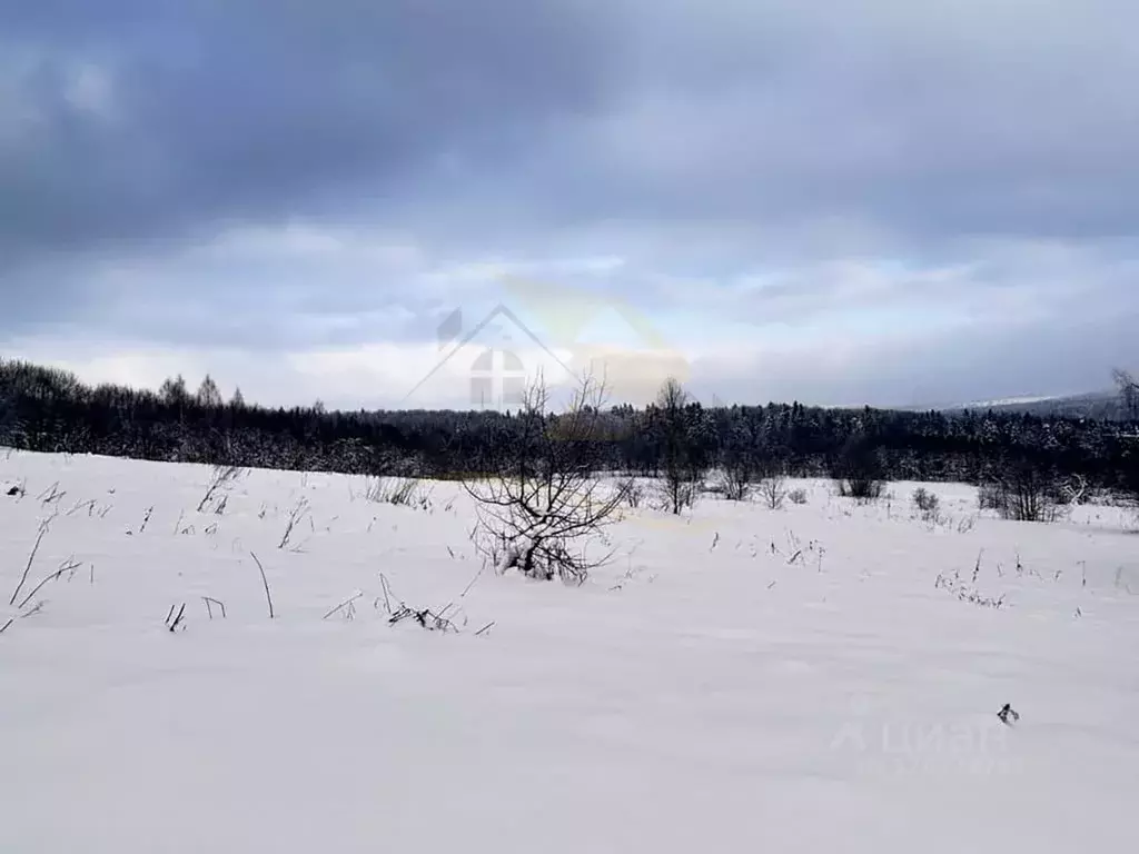 Участок в Московская область, Дмитровский муниципальный округ, д. ... - Фото 2
