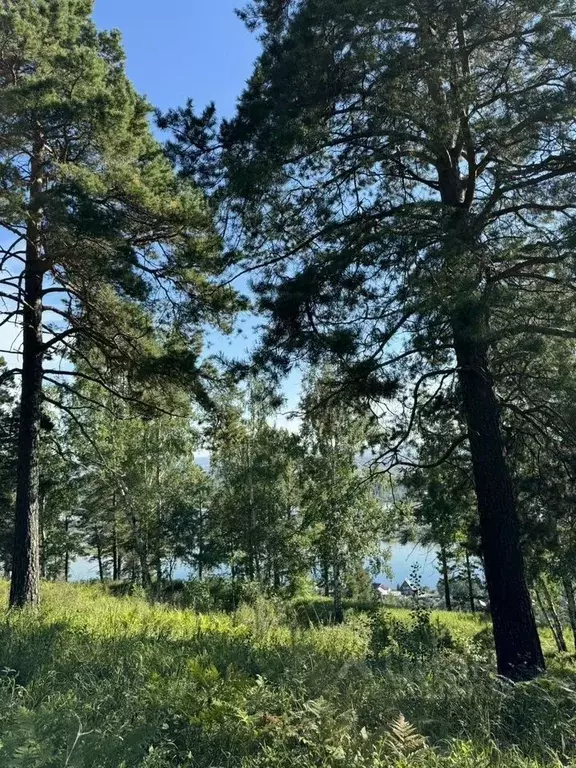 Участок в Иркутская область, Иркутский муниципальный округ, Славное ... - Фото 1