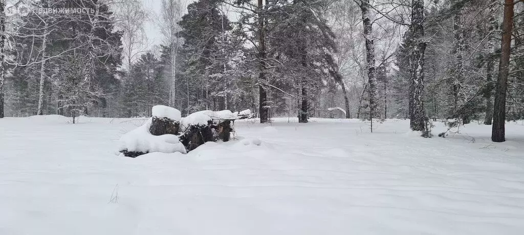 Участок в деревня Кандинка, улица Гагарина (9.1 м) - Фото 1