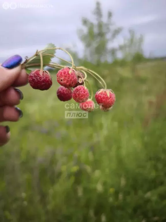 Участок в Большая Кузьминка, КП Большая Кузьминка (11 м) - Фото 1