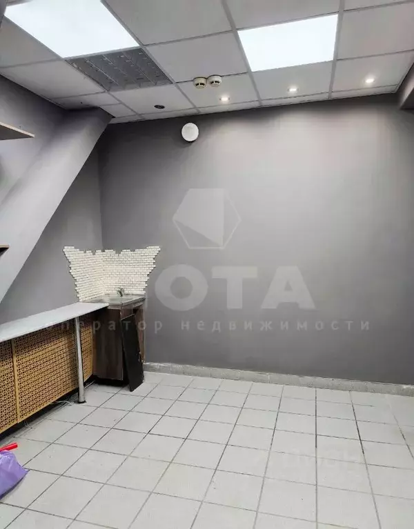 Торговая площадь в Омская область, Омск ул. Пушкина, 59 (10 м) - Фото 1