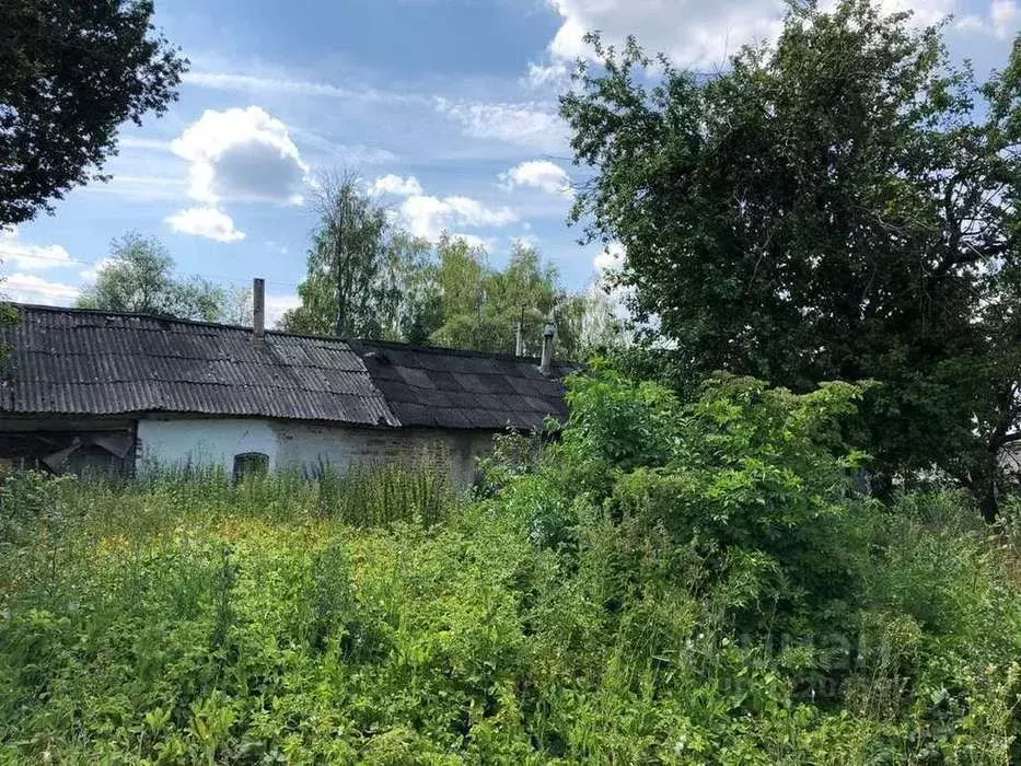 Участок в Воронежская область, Верхнехавский район, с. Большая ... - Фото 1