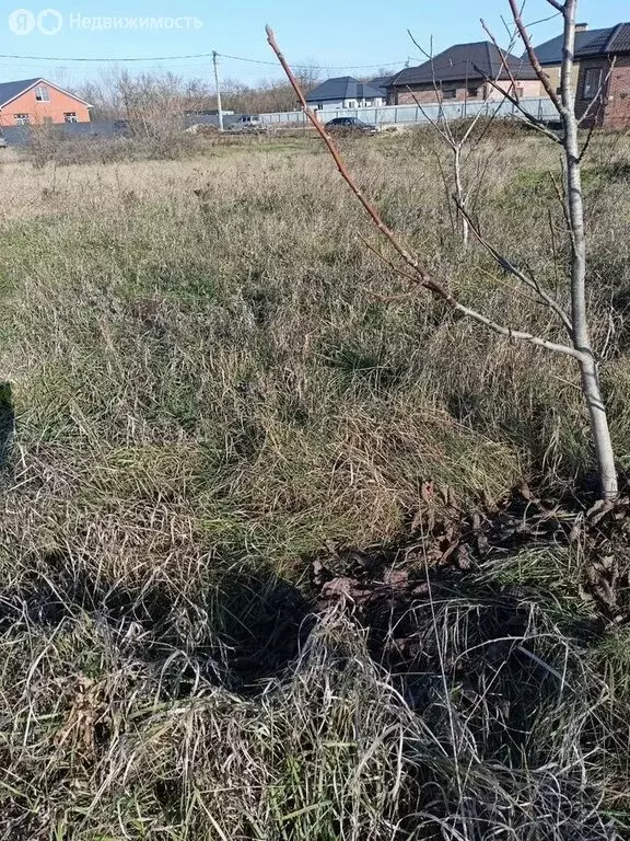 Участок в станица Новотитаровская, Северная улица, 29 (9.9 м) - Фото 1