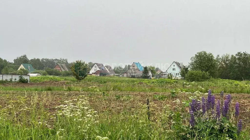 Участок, 24 сот., 0 - Фото 2