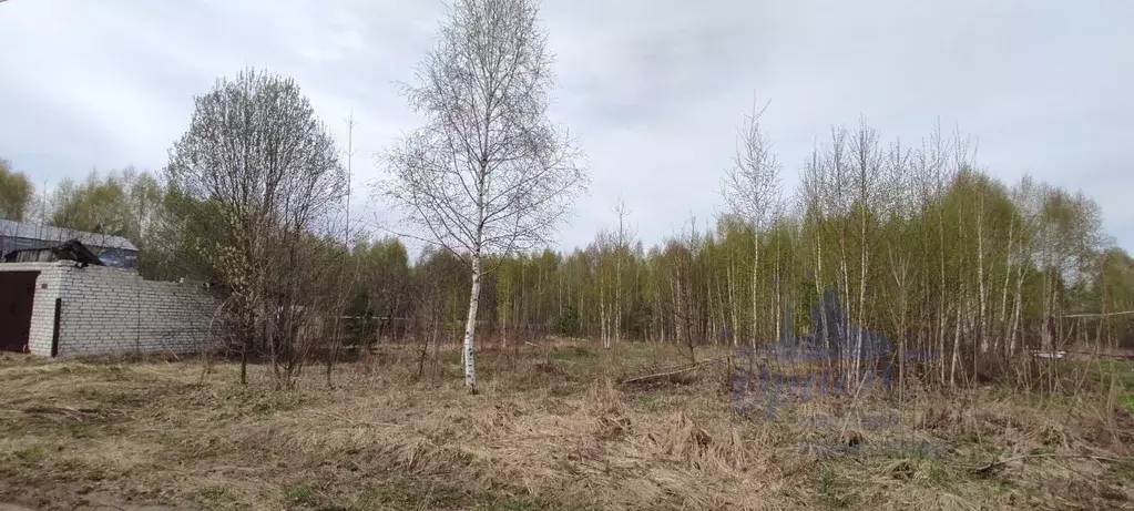 Участок в Нижегородская область, Городецкий муниципальный округ, д. ... - Фото 1