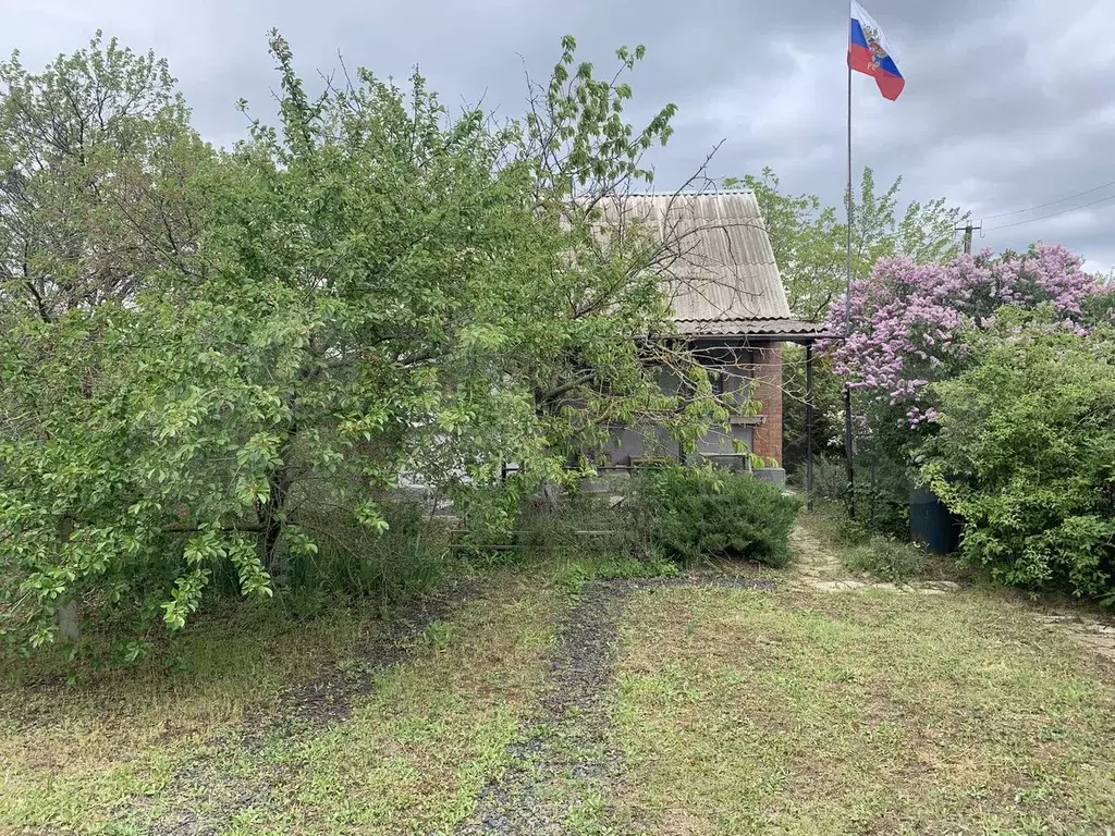 Дача 56,6 м на участке 8 сот. - Фото 0
