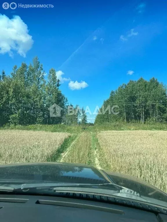 Участок в Вологодская область, Шекснинский муниципальный округ, ... - Фото 0