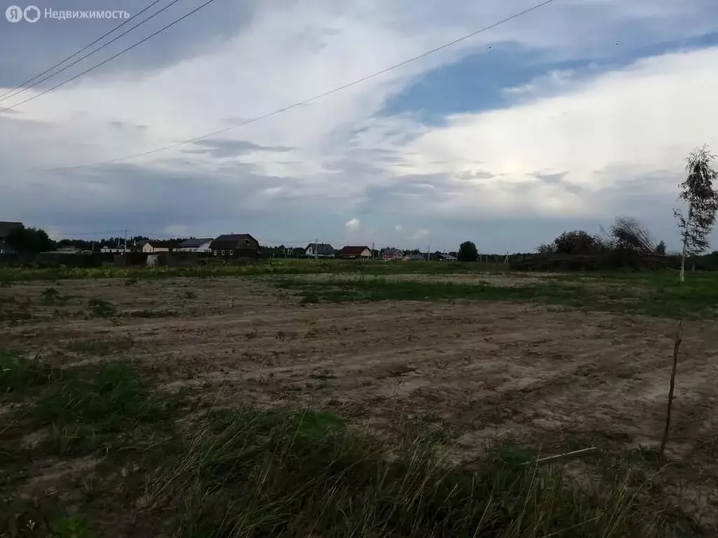 Участок в Кипенское сельское поселение, КП Ропшинское (6 м) - Фото 2