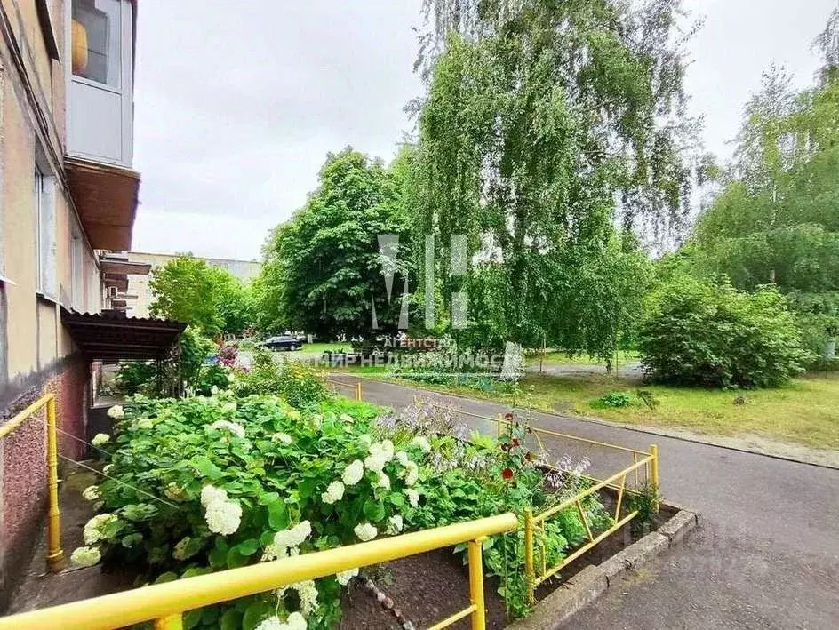 4-к кв. Калининградская область, Светлый Коммунистическая ул., 4 (64.1 ... - Фото 2