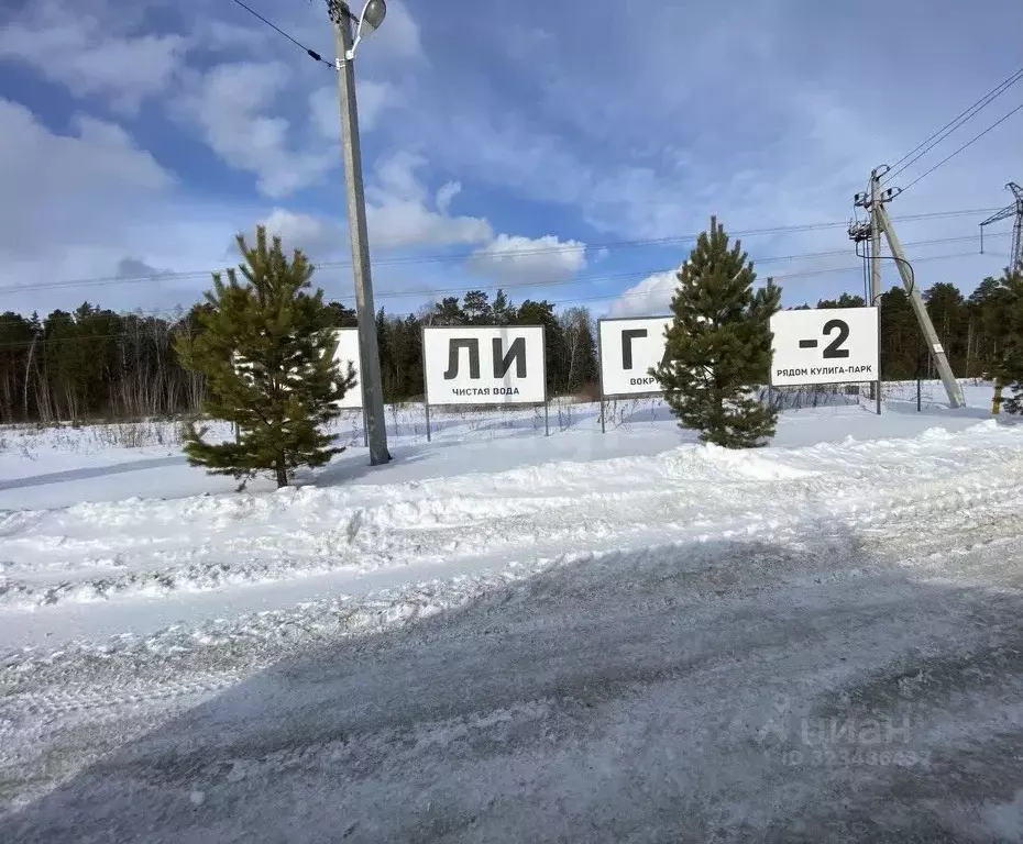 Участок в Тюменская область, Тюменский муниципальный округ, с. Кулига, ... - Фото 1
