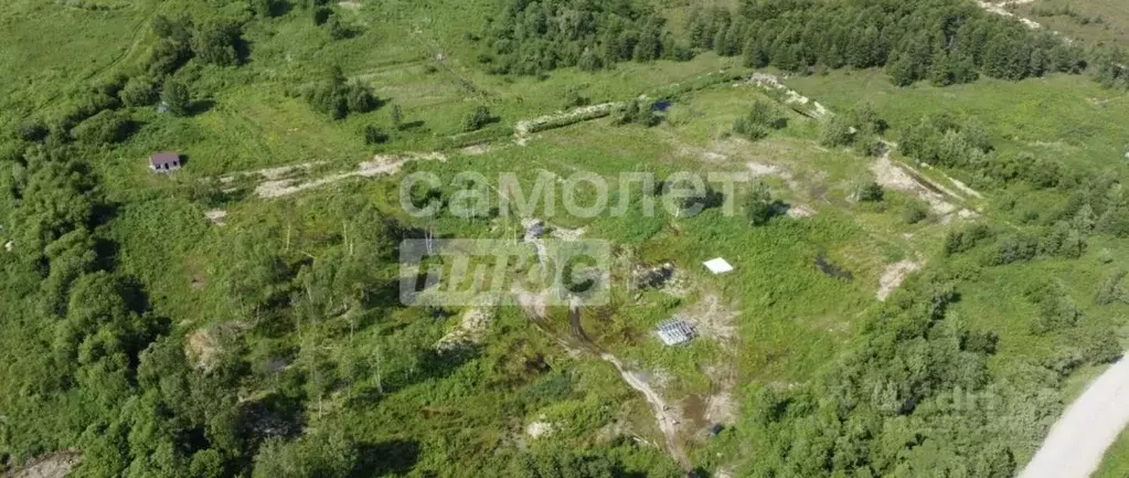 Участок в Сахалинская область, Анивский городской округ, с. Мицулевка  ... - Фото 0