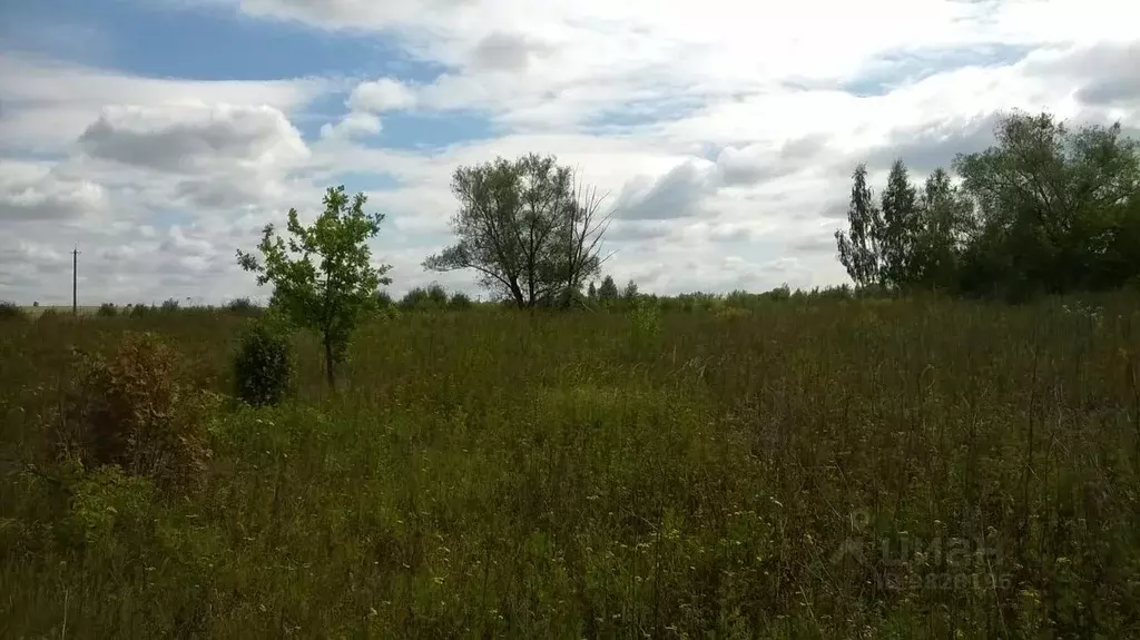 Участок в Орловская область, Орловский район, д. Кулики  (25.0 сот.) - Фото 1