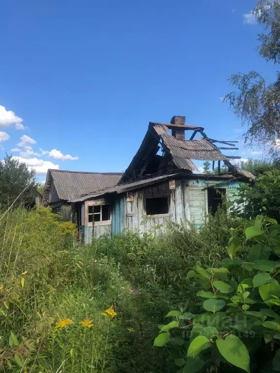 Участок в Брянская область, Навля рп ул. Чапаева, 44 (20.0 сот.) - Фото 1