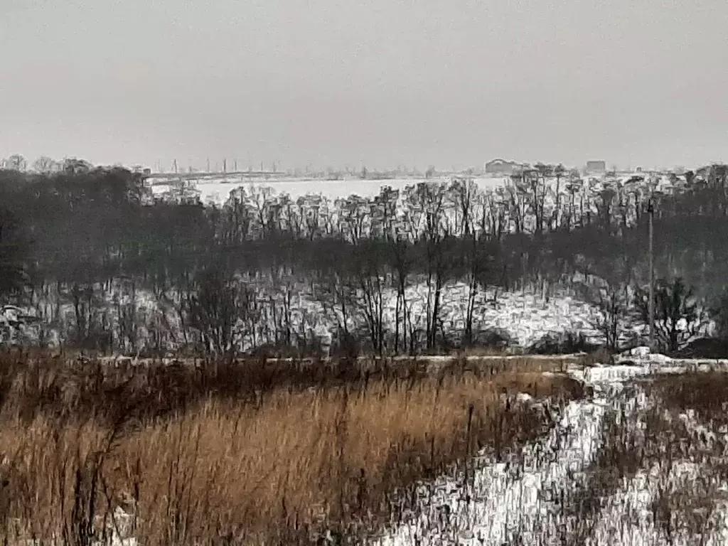 Участок в Белгородская область, Белгородский район, Крутологское ... - Фото 1