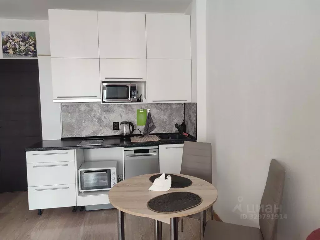 Студия Санкт-Петербург Союзный просп., 4 (23.4 м) - Фото 1