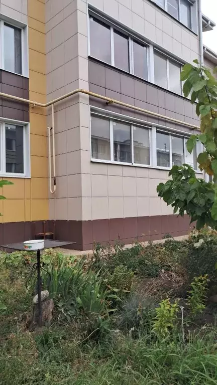 1-к кв. Липецкая область, Липецк Ангарская ул., 31Е (35.0 м) - Фото 1