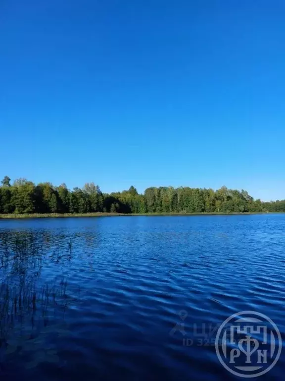 Участок в Ленинградская область, Лужский район, Скребловское с/пос, д. ... - Фото 1