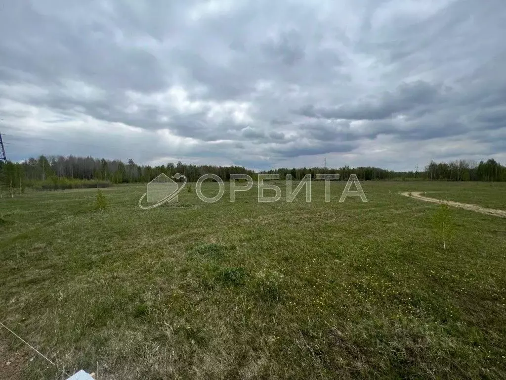 Участок в Тюменская область, Тюмень Садовое товарищество Липовый ... - Фото 1