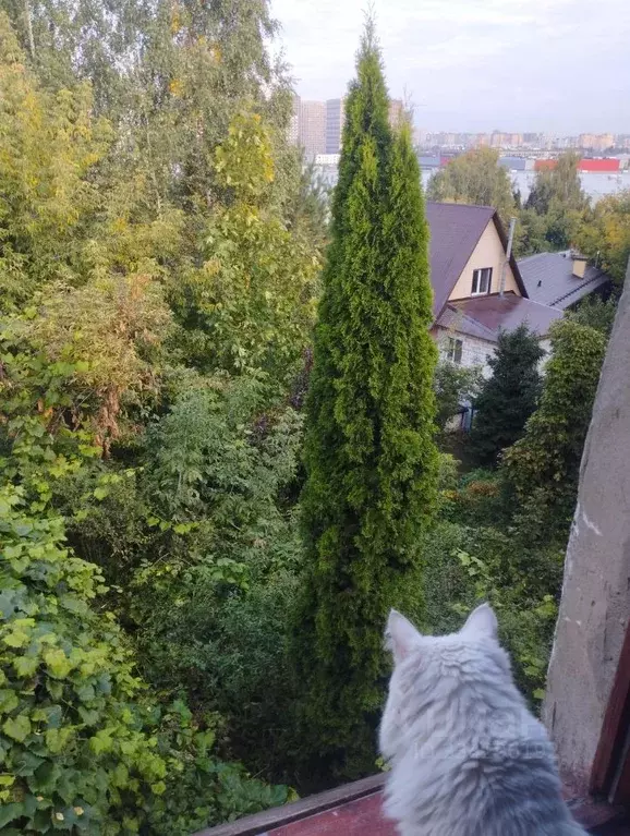 Дом в Московская область, Котельники Восход СПК, 90 (80 м) - Фото 1