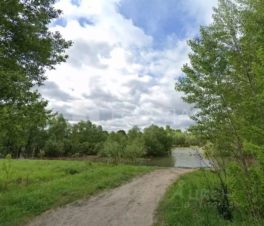 Дом в Новосибирская область, Новосибирск Радуга садовое товарищество, ... - Фото 1