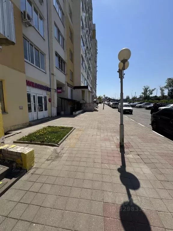 Помещение свободного назначения в Белгородская область, Белгородский ... - Фото 2
