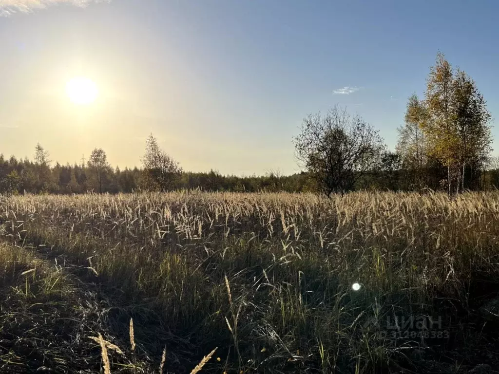 Участок в Московская область, Кашира городской округ, д. Тарасково  ... - Фото 0