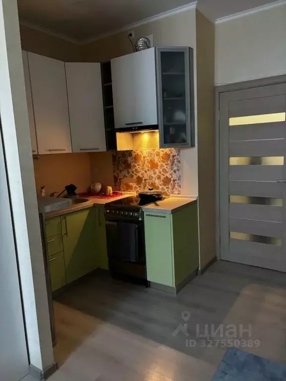 Студия Санкт-Петербург пос. Шушары, пер. Вилеровский, 6 (23.0 м) - Фото 1