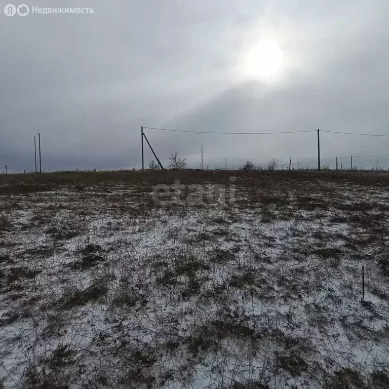 Участок в Перовское сельское поселение, дачный массив Новозбурьевка ... - Фото 1