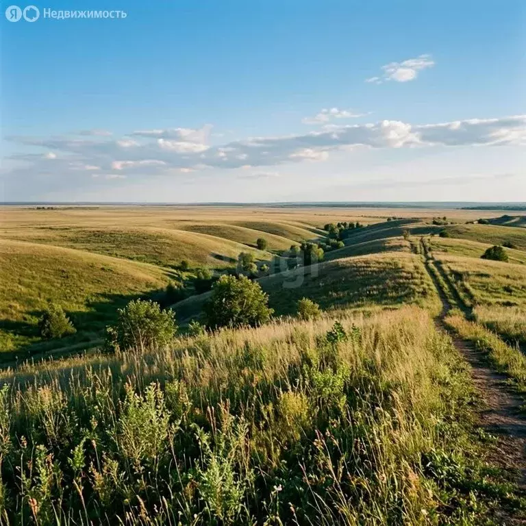 Участок в Чемальский район, село Бешпельтир (1390 м) - Фото 2