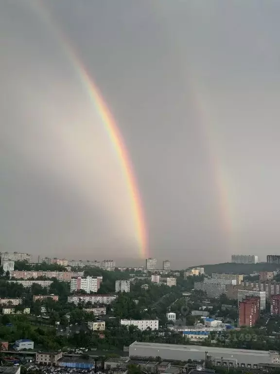 1-к кв. Приморский край, Владивосток ул. Нейбута, 4А (30.0 м) - Фото 0