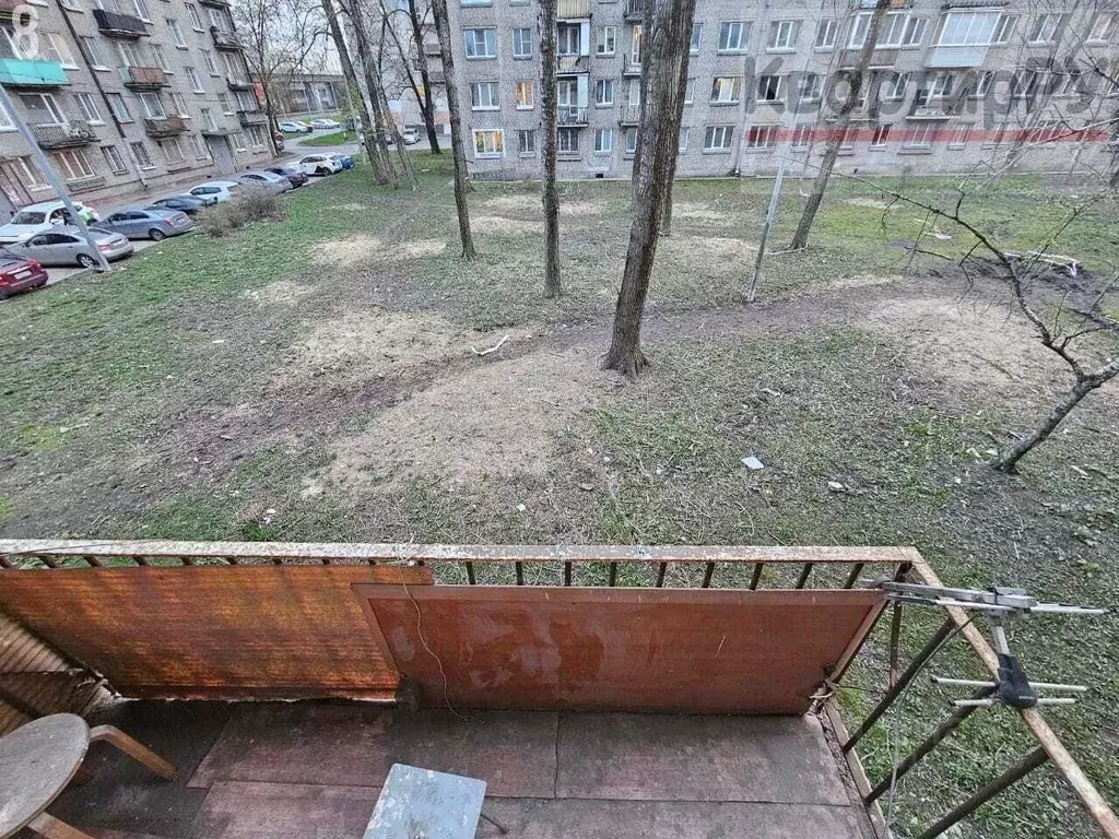 Комната Санкт-Петербург 3-й Рабфаковский пер., 12К2 (12.0 м) - Фото 1