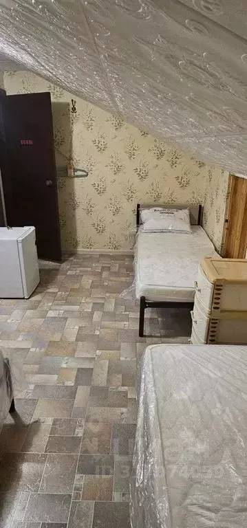 Комната Краснодарский край, Темрюкский район, Голубицкое с/пос, ... - Фото 1