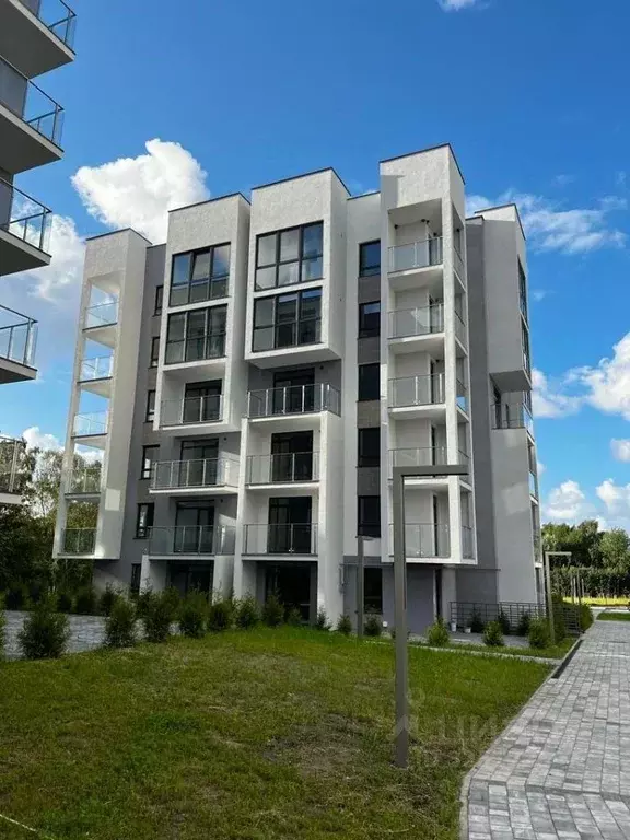 2-к кв. Калининградская область, Светлогорск Ольховая ул., 19к7 (66.0 ... - Фото 2