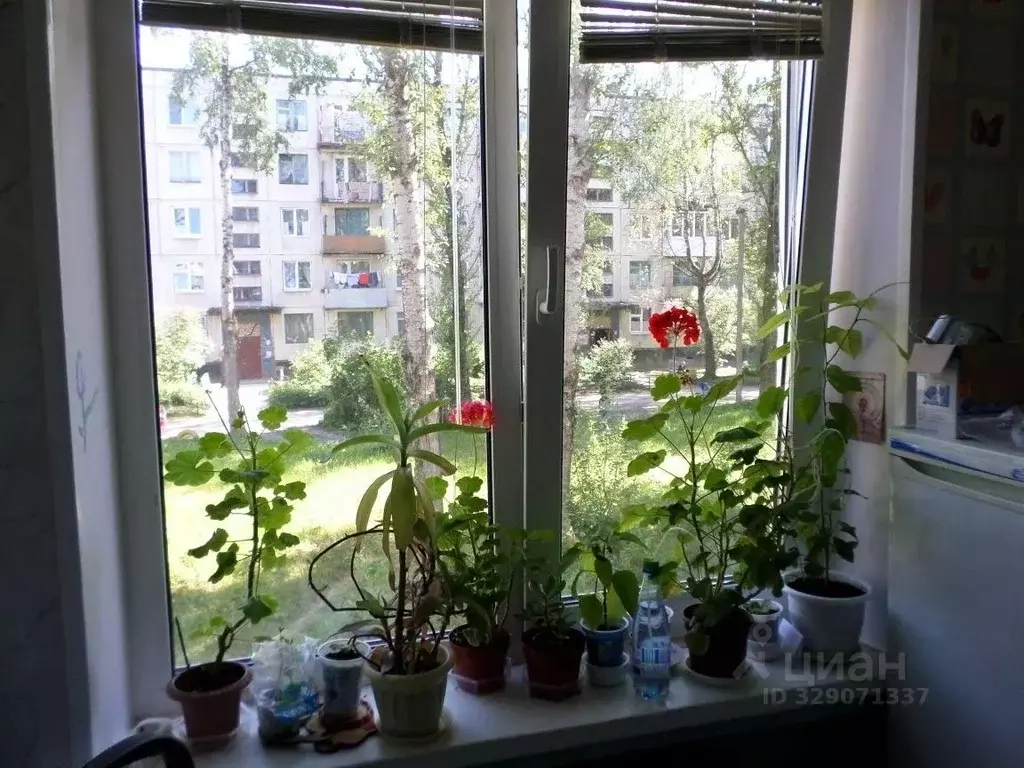 2-к кв. Ленинградская область, Волосовский район, Бегуницкое с/пос, ... - Фото 2