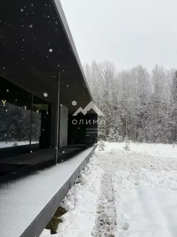 Дом в Вологодская область, д. Елгино, Елгино кп  (77 м) - Фото 1