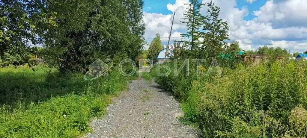 Участок в Тюменская область, Нижнетавдинский муниципальный округ, ... - Фото 2