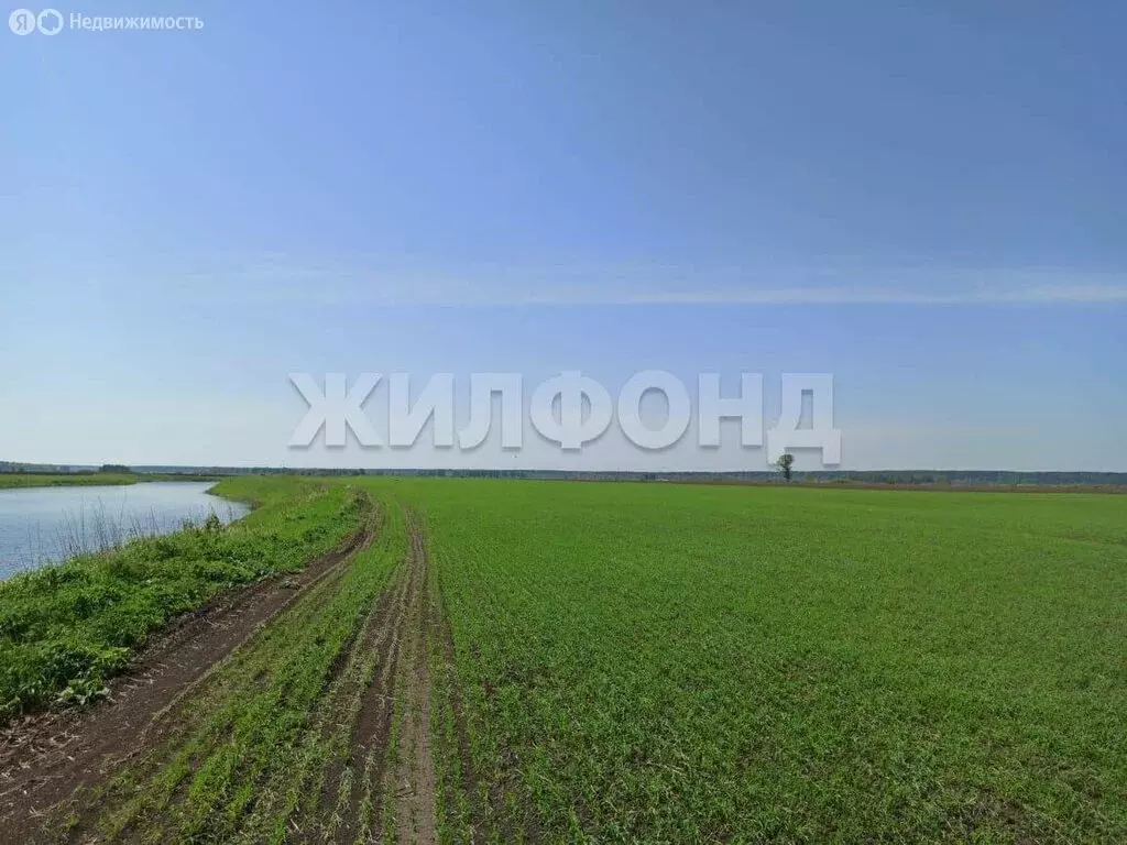 Участок в Вершинино, Источная улица (2480 м) - Фото 1