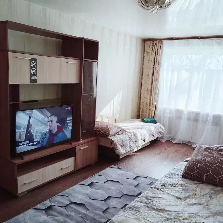 1-к кв. Амурская область, Белогорск ул. Куйбышева, 15 (30.0 м) - Фото 1