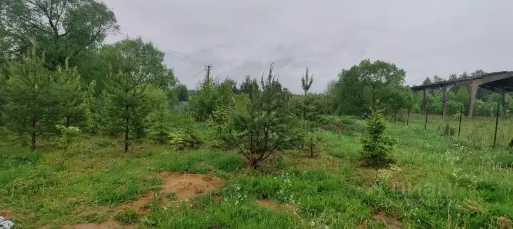 Участок в Московская область, Солнечногорск городской округ, д. ... - Фото 0