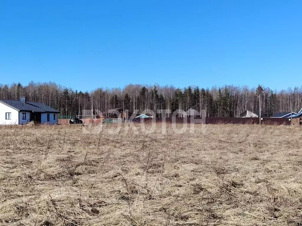Участок в Ленинградская область, Ломоносовский район, Низинское с/пос, ... - Фото 1