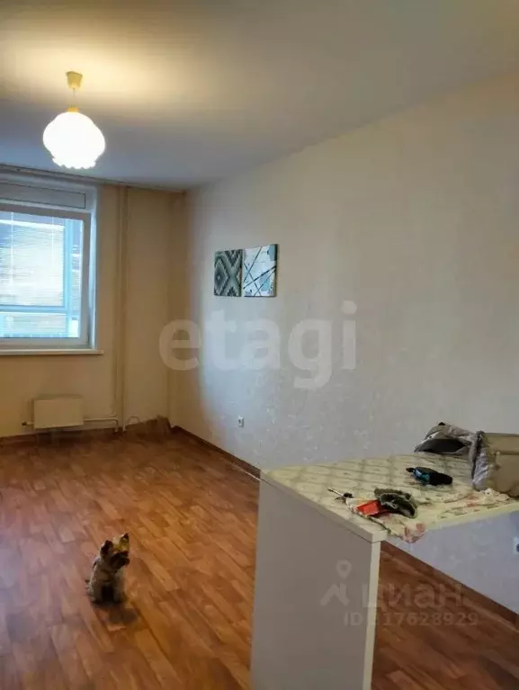 Студия Красноярский край, Красноярск Норильская ул., 40 (27.7 м) - Фото 1