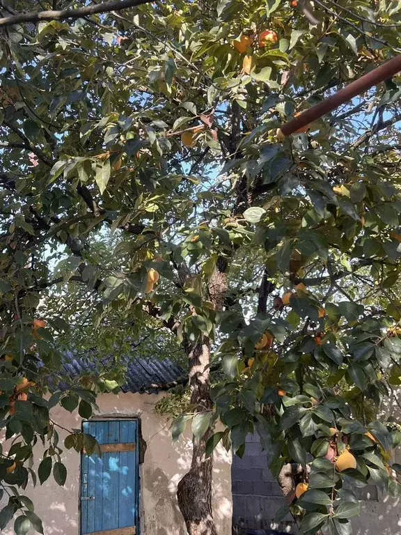 Дом 80 м на участке 5 сот. - Фото 1