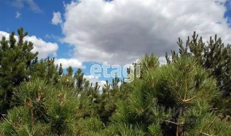 Участок в Калужская область, Перемышльский муниципальный округ, ... - Фото 2