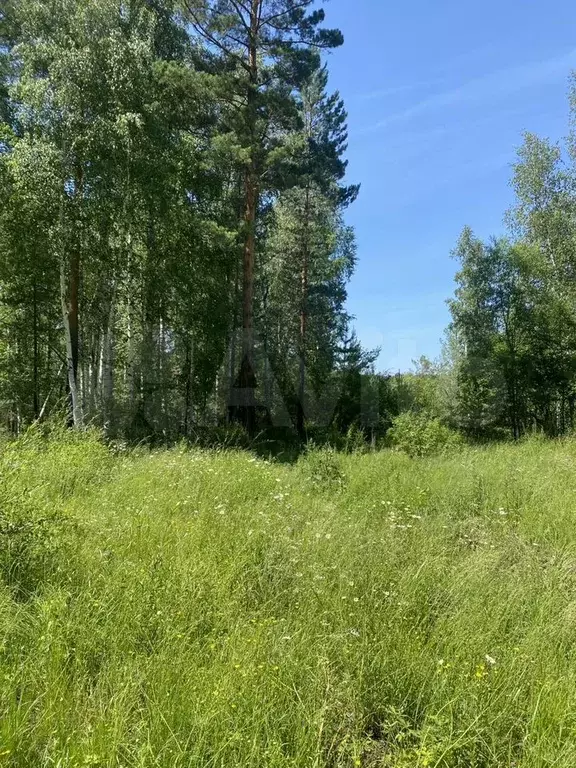 Участок 15 сот. (ИЖС) - Фото 1