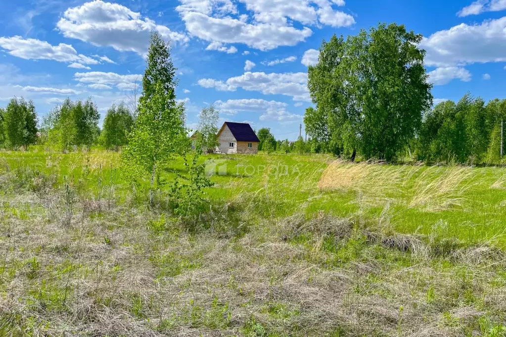 Участок в Новосибирская область, Новосибирский район, с. Верх-Тула ул. ... - Фото 1