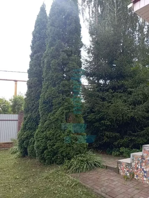 Дом в Новинки, Новая улица (220 м) - Фото 1