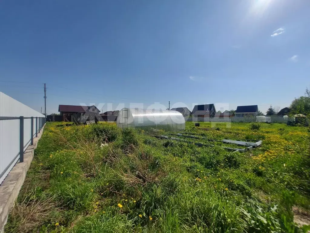 Участок в Новосибирская область, Колыванский район, Рыбачий СНТ  (8.0 ... - Фото 1