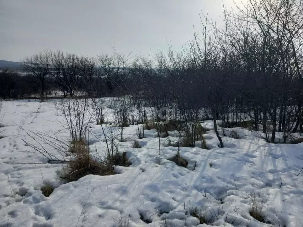 Участок в Белгородская область, Губкинский городской округ, с. Осколец ... - Фото 0