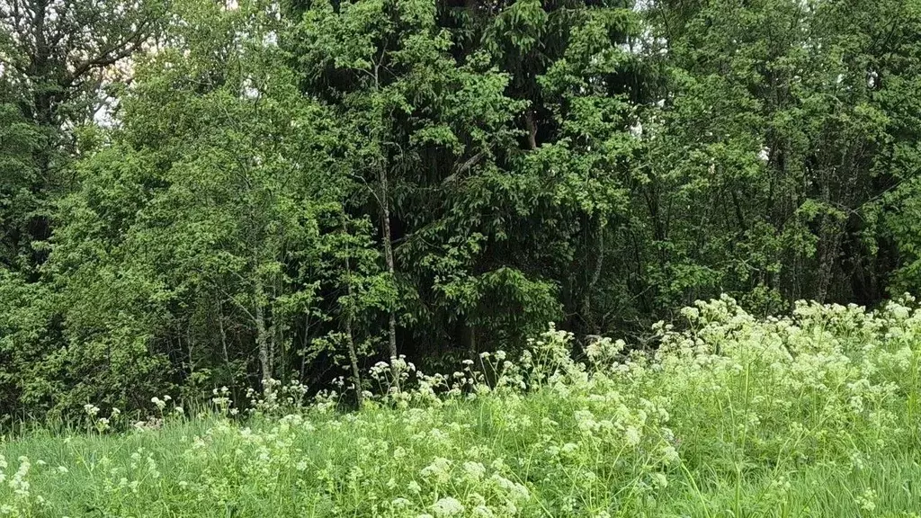 Участок в Московская область, Сергиево-Посадский городской округ, д. ... - Фото 0